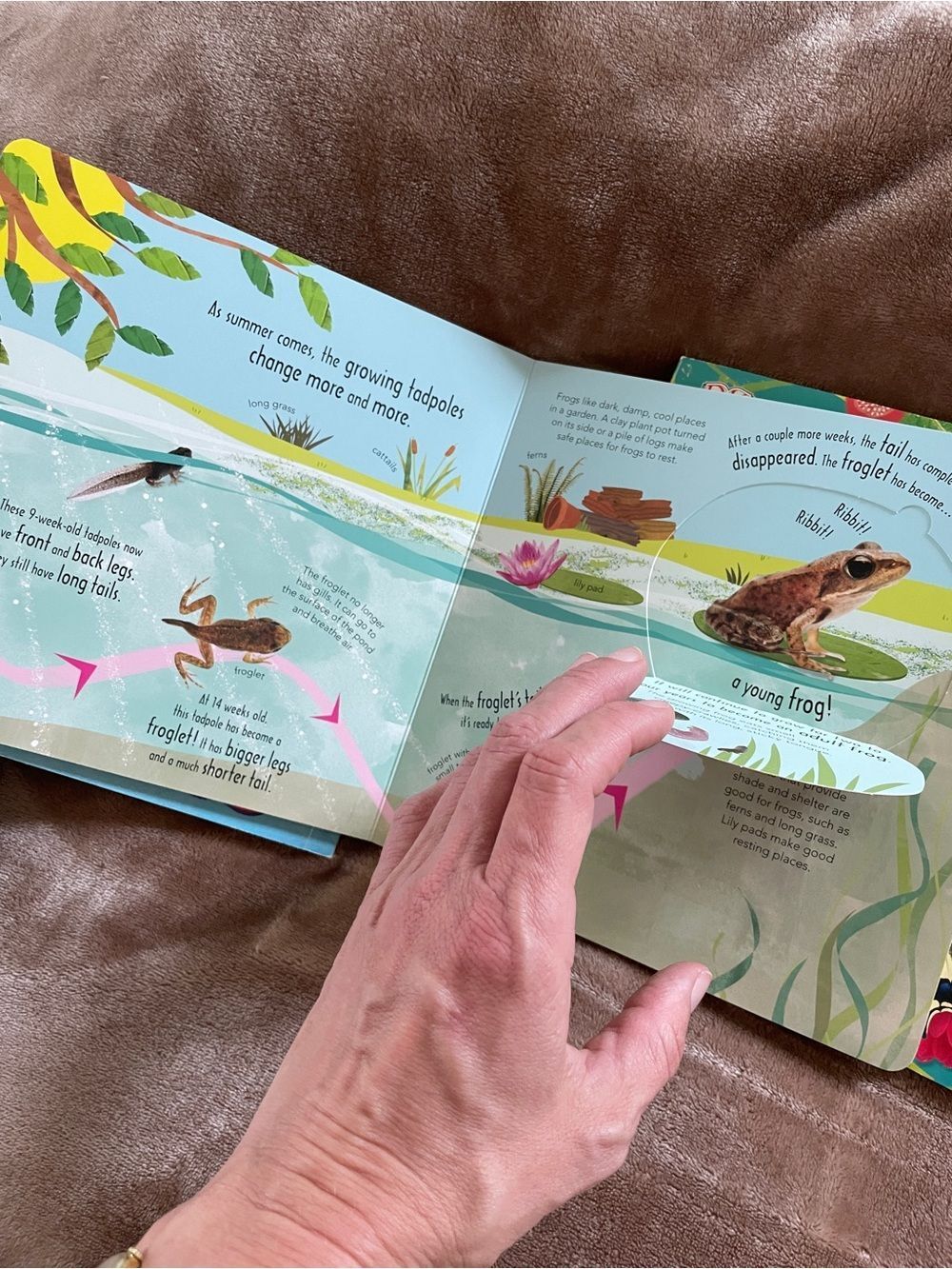 DK Kids Books Watch Me Grow Collection Nature Exploration Lifecycle Early Reader - Picture 10 of 13